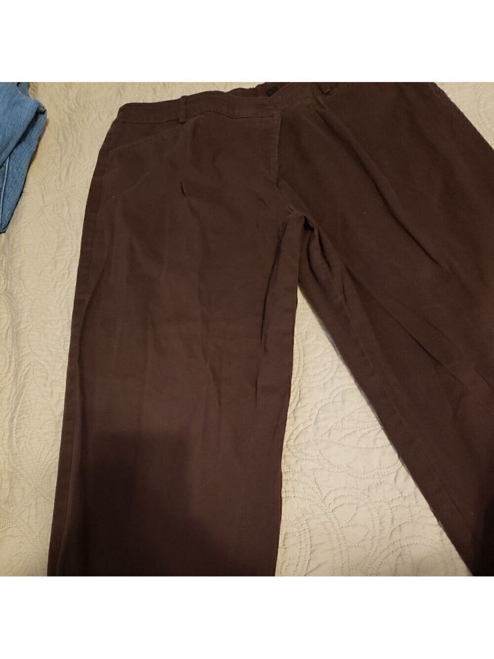 Briggs New York Brown Capris